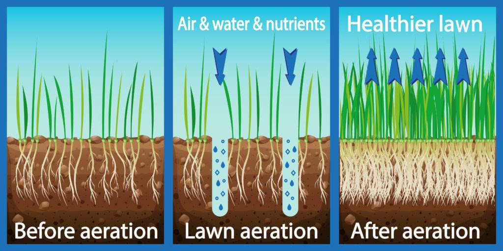 An Infographic of How Aeration Can Help Lawn and Turf in Houston, TX