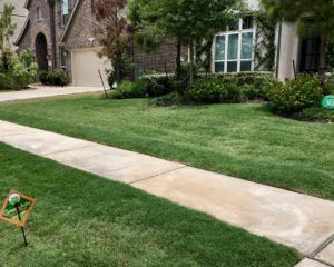 lawn aeration