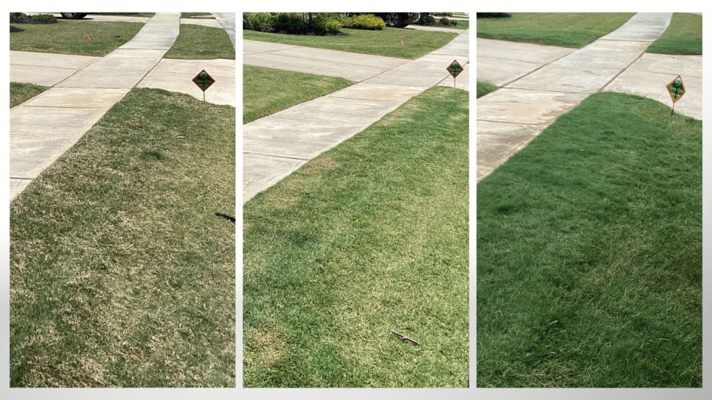 Lawn Aeration Services by GreenGate Turf & Pest in Greater Houston Area