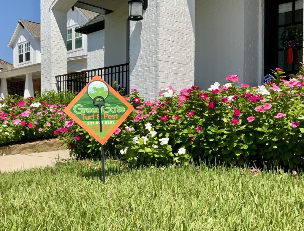 Lawn Care Results By GreenGate