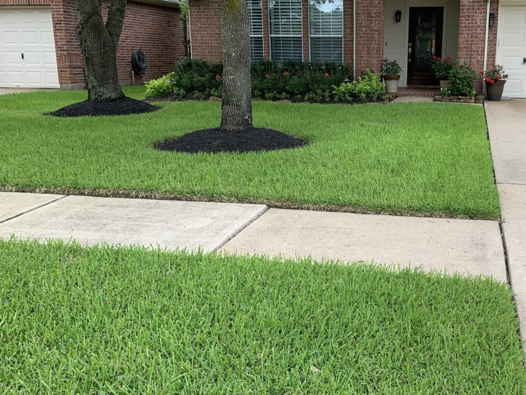 Efficient sprinkler system watering lush green lawn in Houston, TX