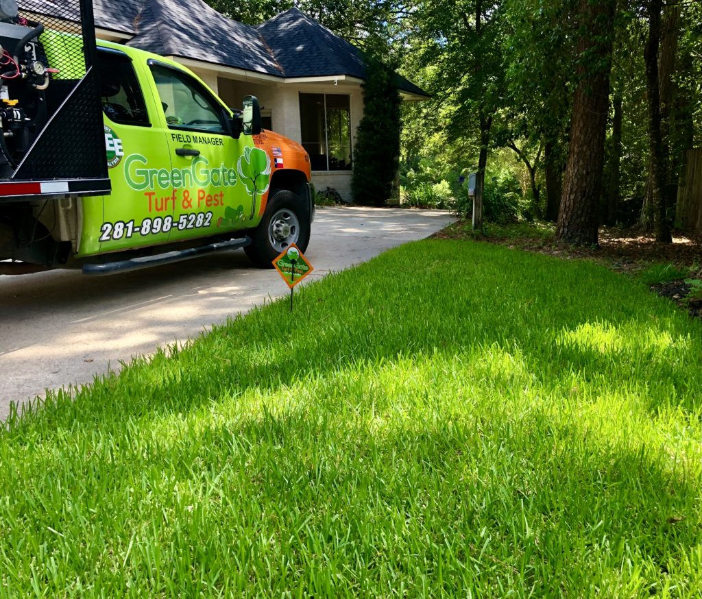 Lawn Fertilization Results Cypress, TX