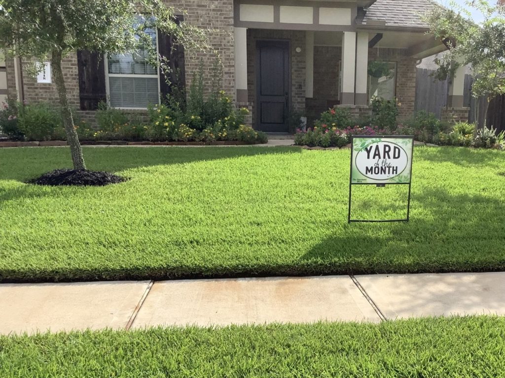 Spring Lawn Care