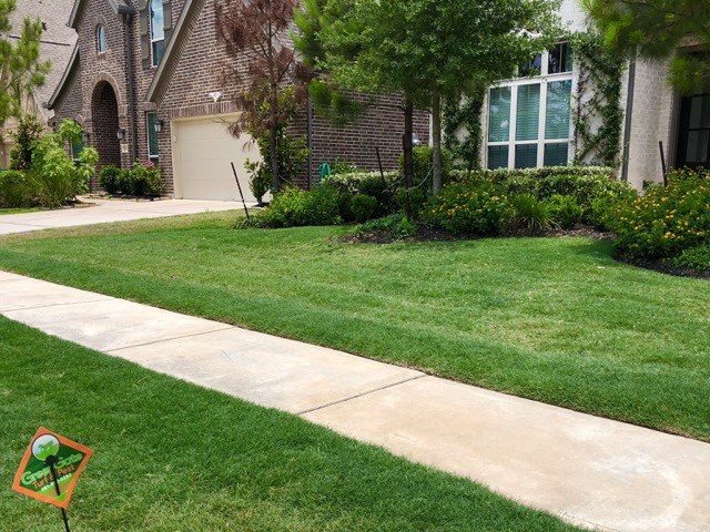Spring Lawn Care