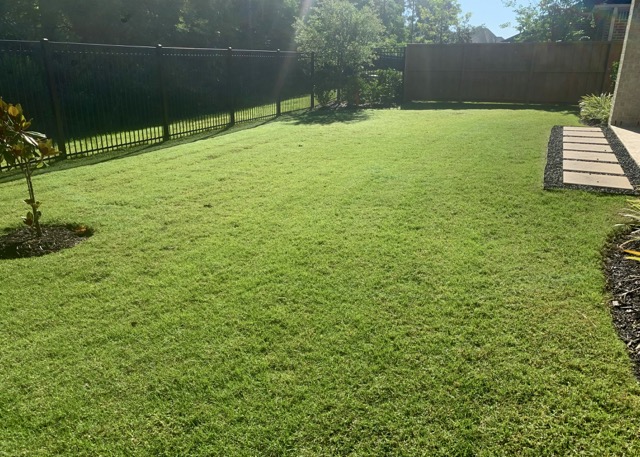 The Woodlands lawn care
