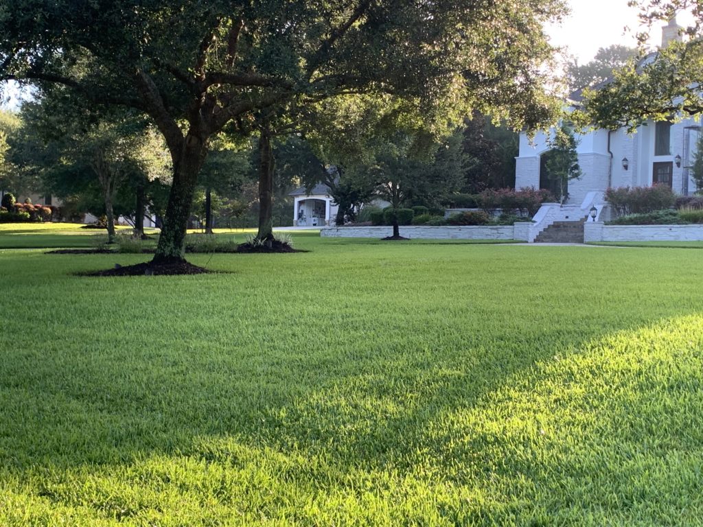 Lawn Care Bundle 4 Results