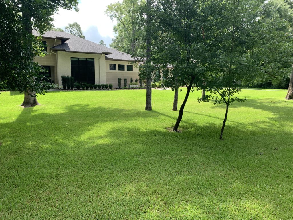 Cypress Lawn Care Results