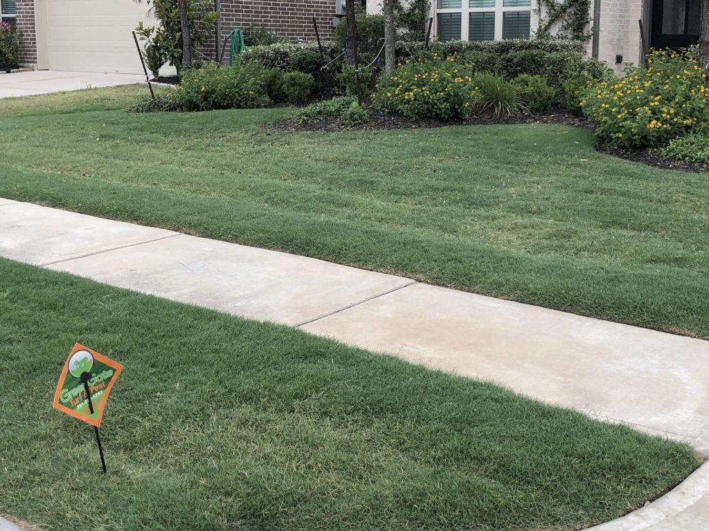 lawn aeration