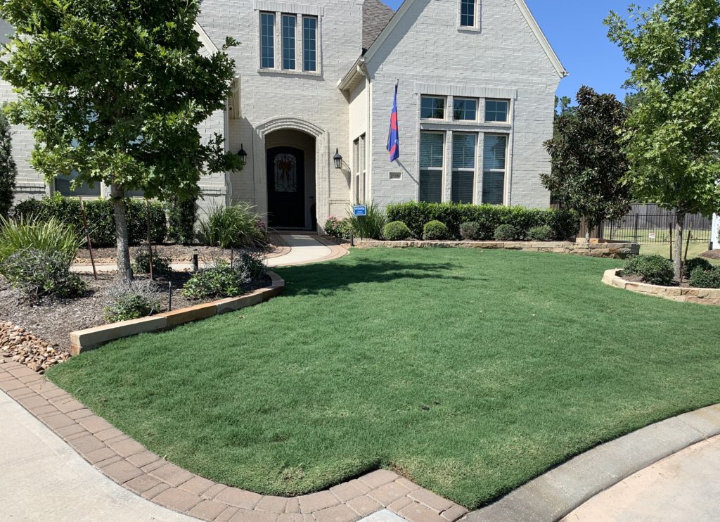 best lawn aeration