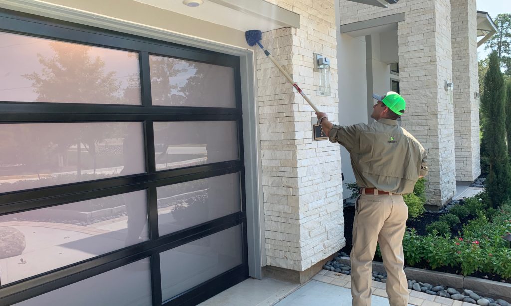 Pest Control Service