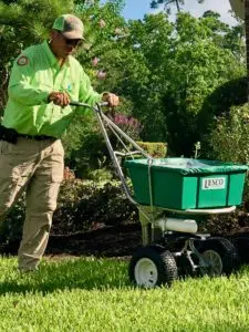 best time to mow after fertilizing
