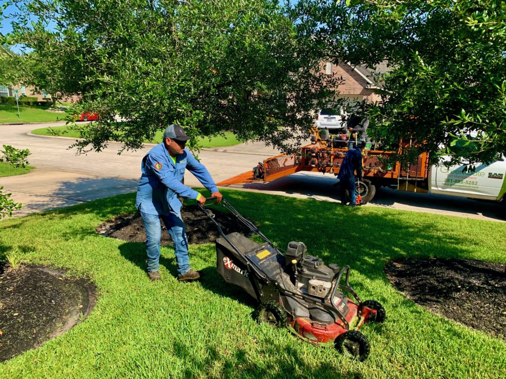 Lawn Mowing Service spring TX