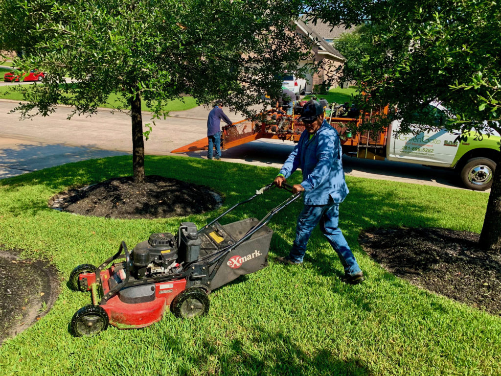 Lawn Mowing Service The Woodlands TX