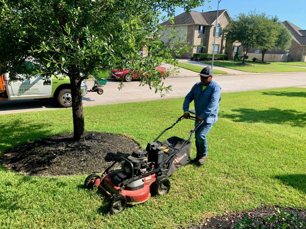 Lawn care service results