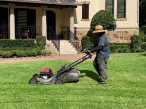 Lawn mowing service The Woodlands