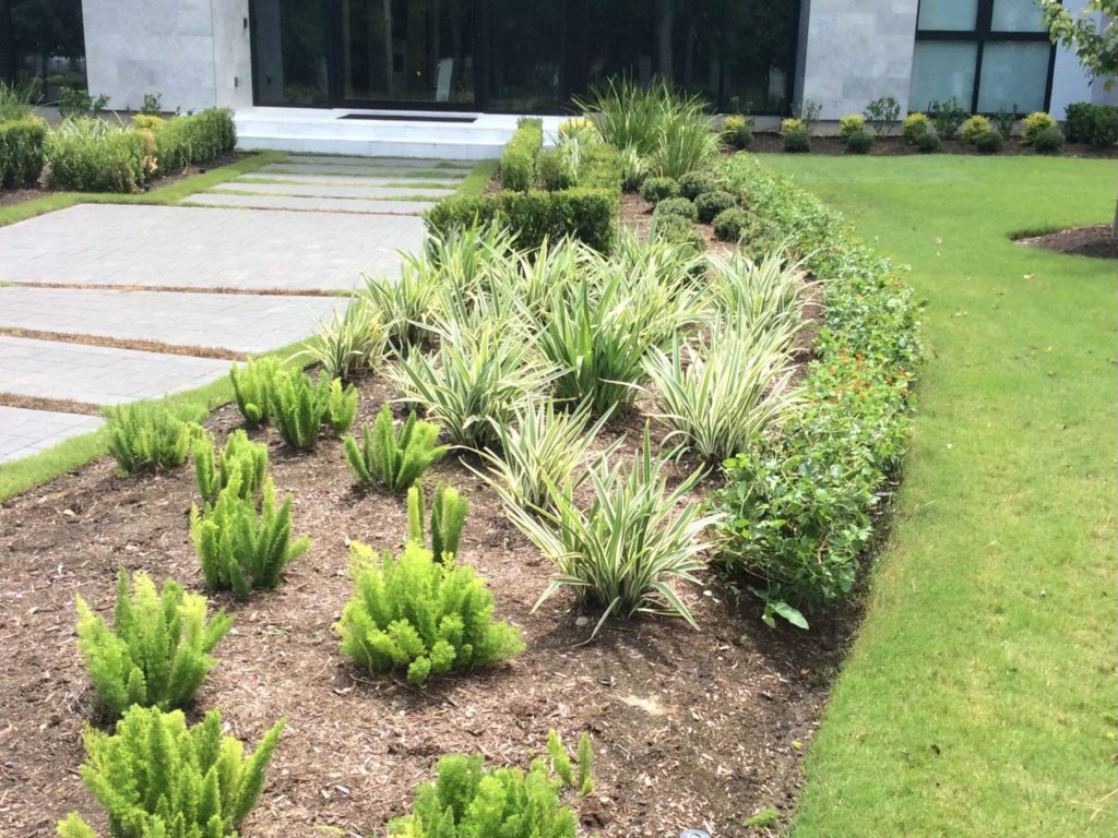 Landscaping Service Completed