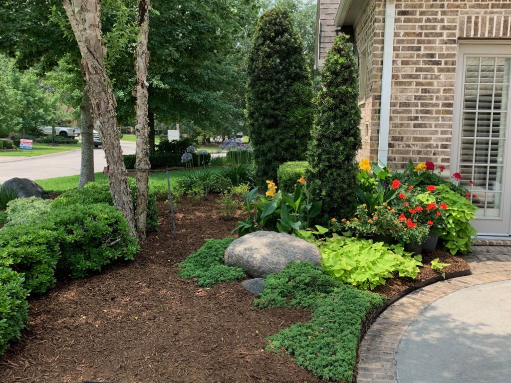 Completed Landscaping Service