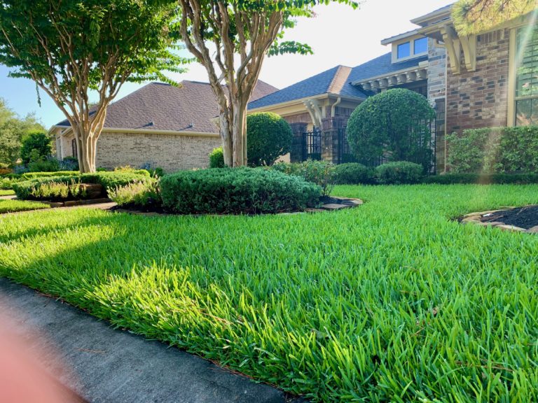 Lawn Fertilization Service in The Woodlands, TX by GreenGate Turf