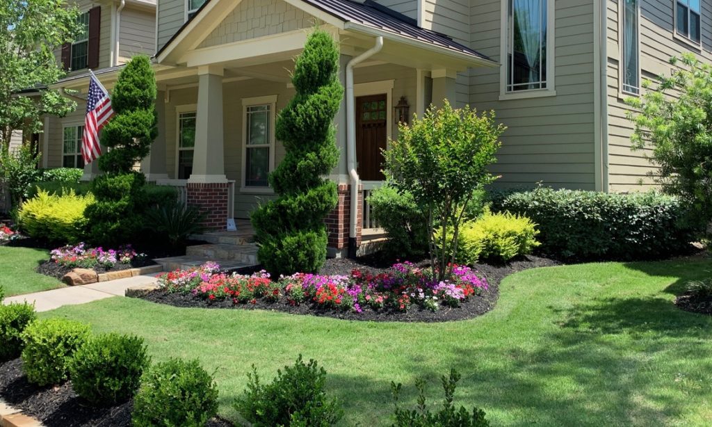 Pest Control For Lawns