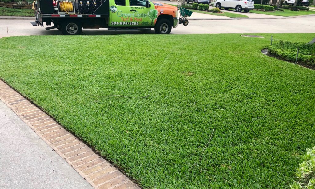 Completed Sod Webworm Treatment