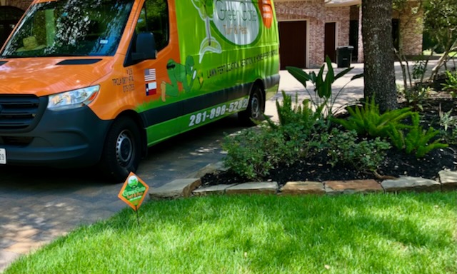Conroe Sod Webworm Treatment