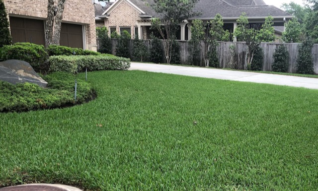Conroe Sod Webworm Treatment