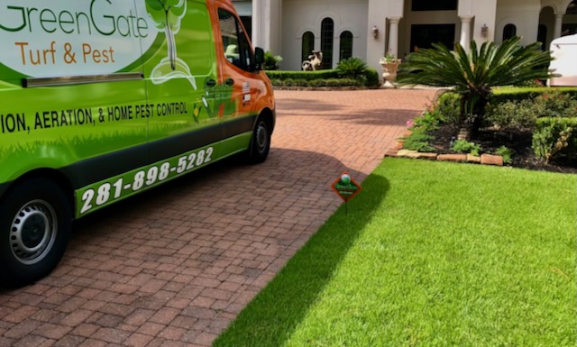 Sod Webworm Treatment