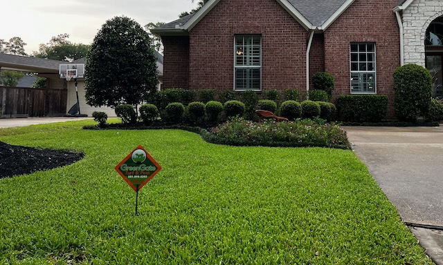 Sugar Land Sod Webworm Treatment