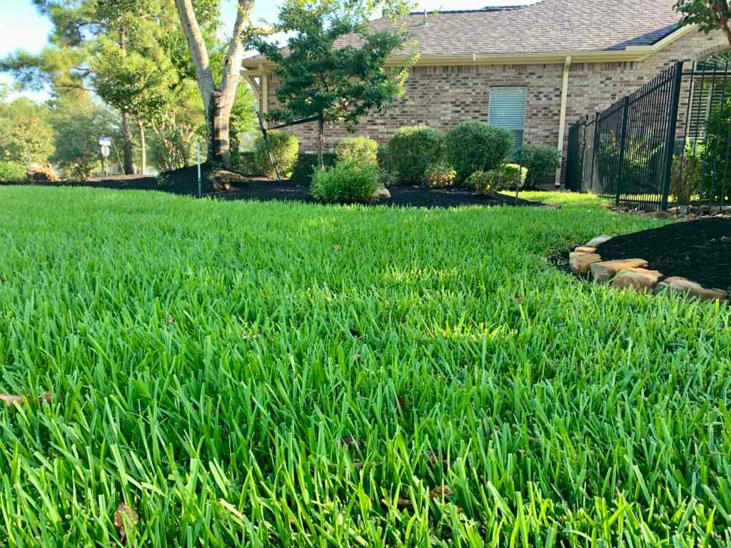 A Home Lawn Area Highlighting a Recent Lawn Fertilization Service in Cypress, TX