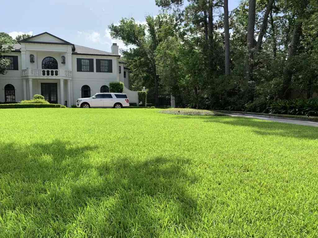 An Exterior View of a House Showcasing Lawn Fertilization by Greengate Turf & Pest in Cypress, TX