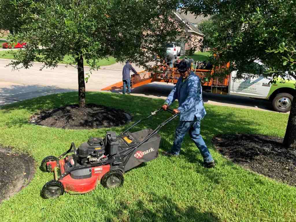 A team member of GreenGate Turf & Pest is mowing the zoysia grass in Houston, TX.