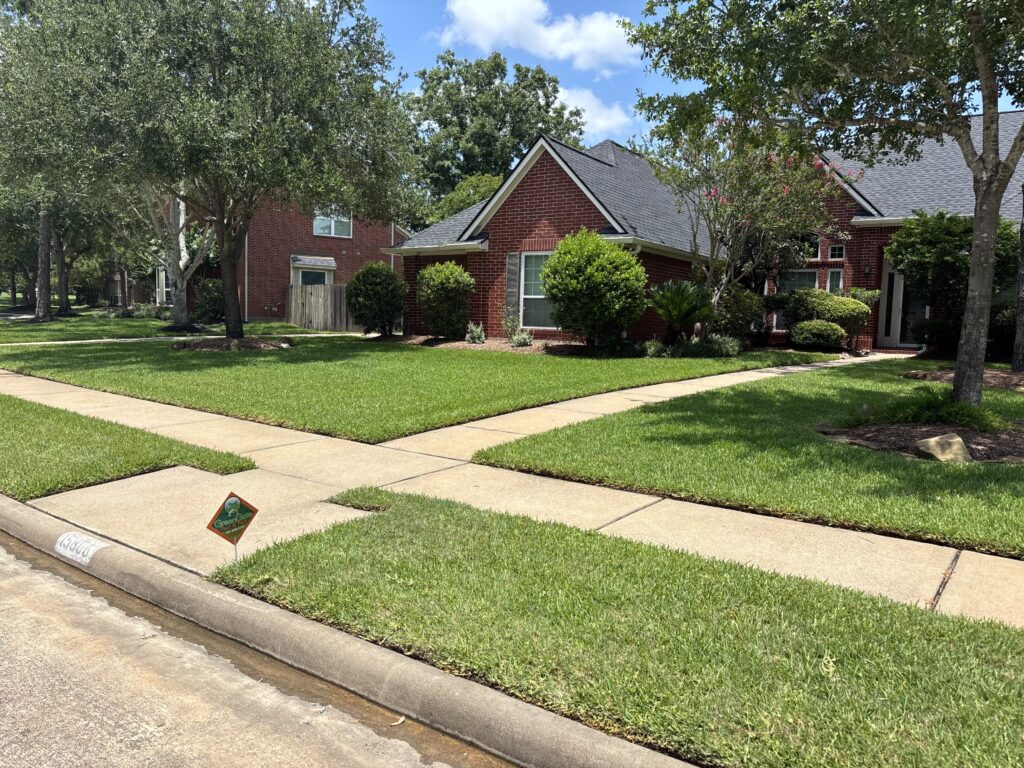 Why fall lawn fertilizer is essential in houston tx