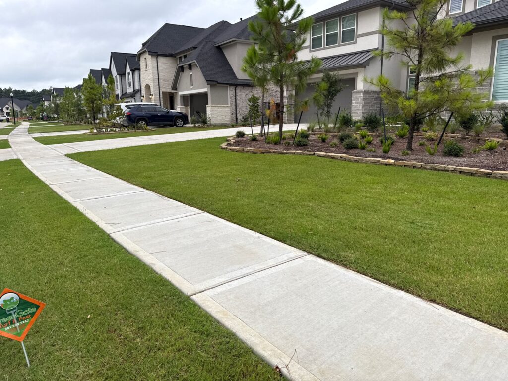 Lawn Services Spring TX