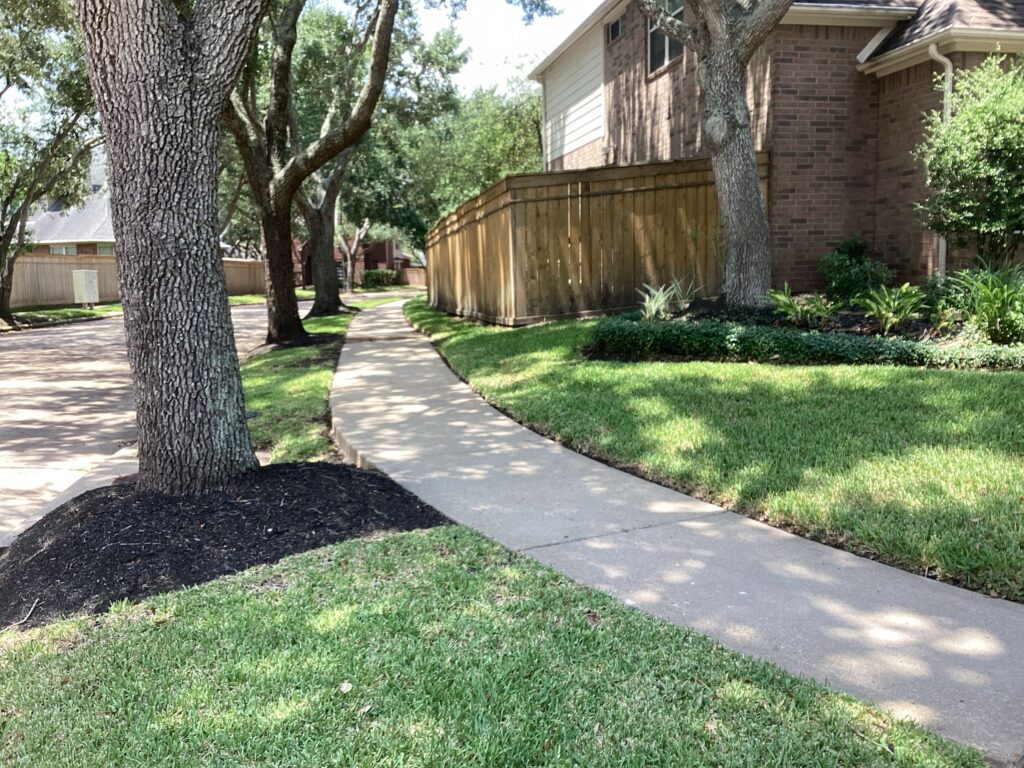 Katy TX lawn Care and lawn pest control