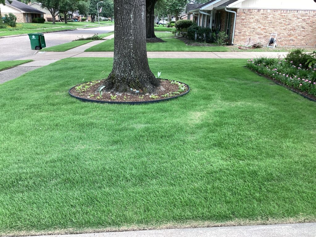 Lawn Mowing Houston