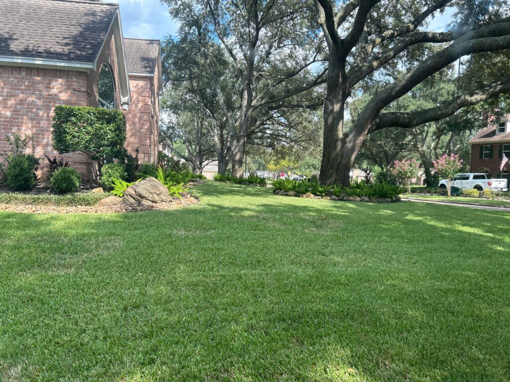 Houston Lawn Care