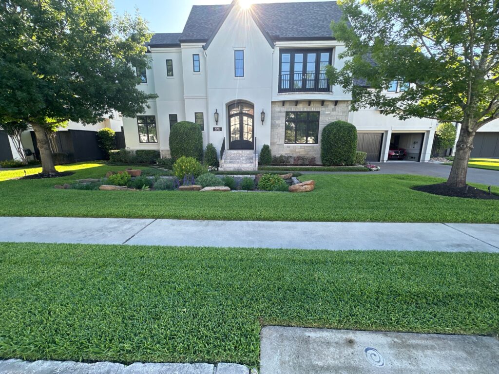 Bellaire Lawn Bundle