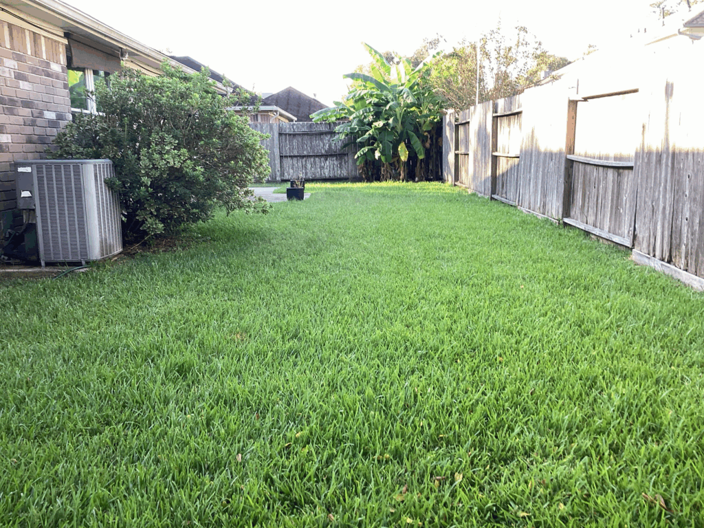 Lawn Fertilizer Service Pearland