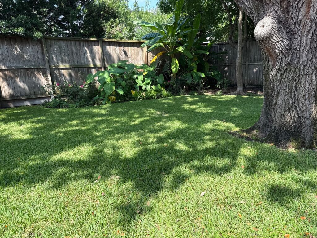 West University Place Lawn Care by GreenGate Turf & Pest