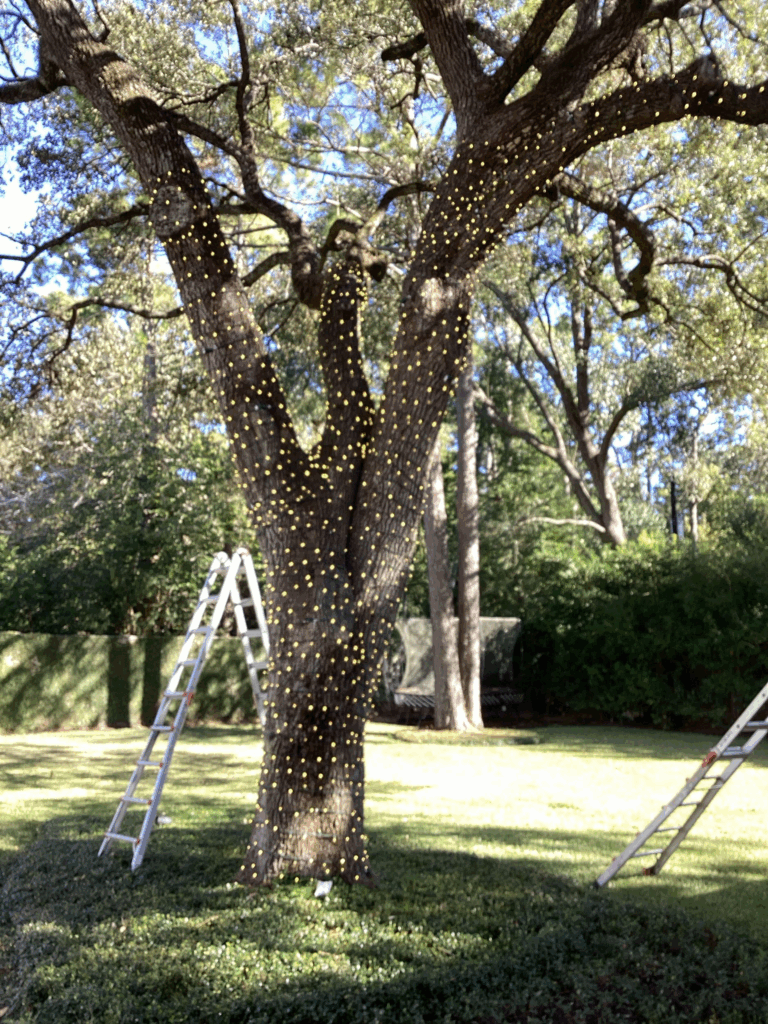 Houston Christmas Lights Installation