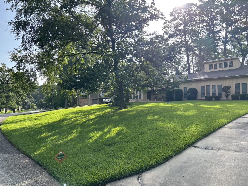 Lawn pest control services on a green lawn including chinch bug treatment and ant control services