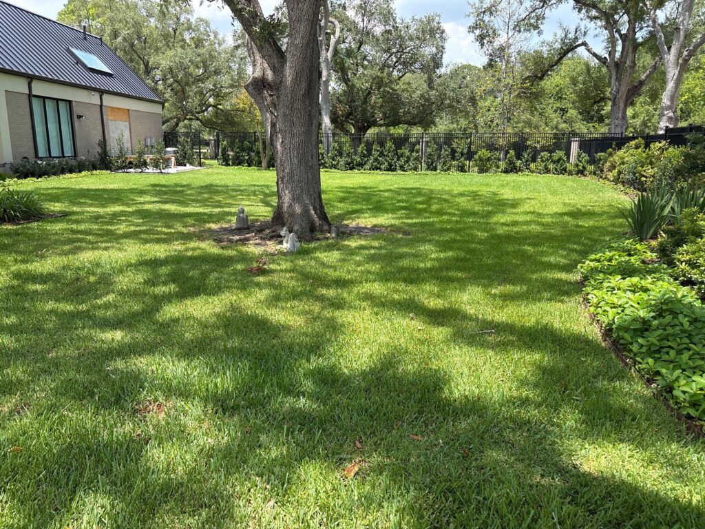 A lawn that was treated for mosquito control with a mosquito barrier spray
