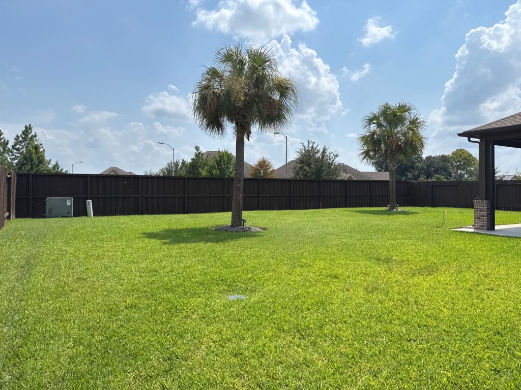 Backyard with green grass and a couple of trees during a lawn aeration service