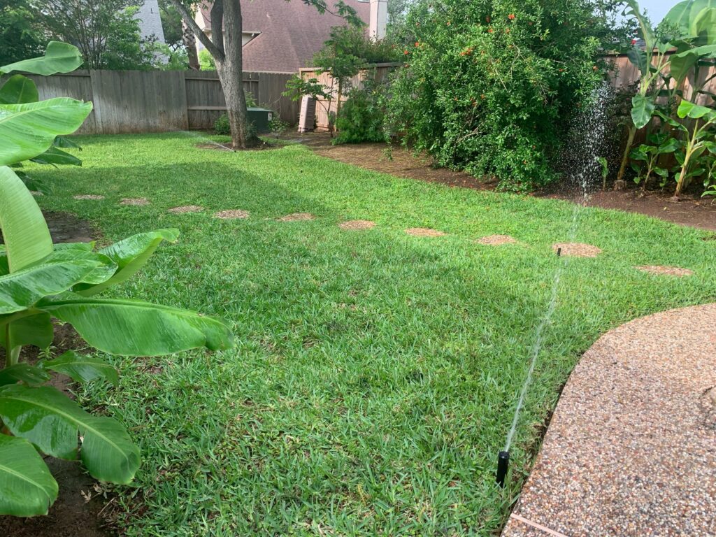 Green grass in a backyard where there are sprinklers running during a Lawn Sprinkler Service near me in Alvin