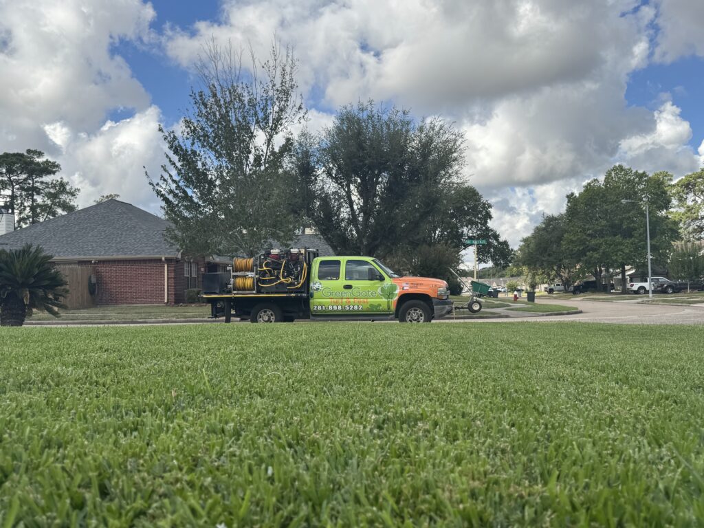 Close up view of grass in front yard looking to the street where a Greengate truck is parked during a lawn pest control service