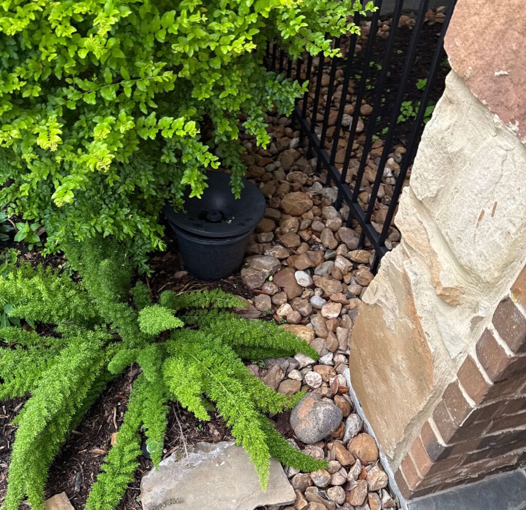 An in2care mosquito trap tucked away into shrubbery working on eliminating the mosquito population on site