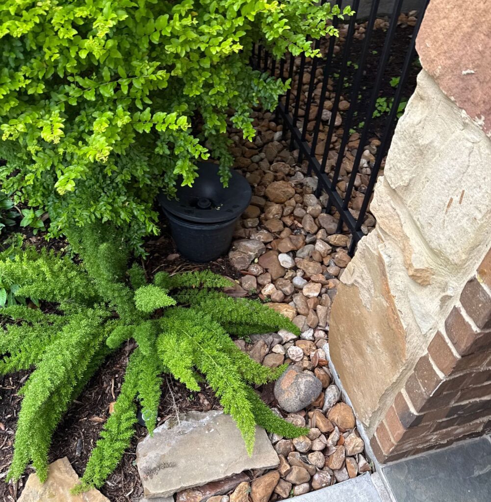 In2care Mosquito Pot placed behind a shrub in a rock bed