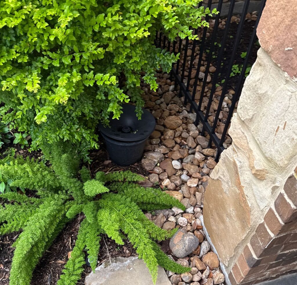 In2care mosquito trap placed discretely underneath shrubs and plants in a rock bed
