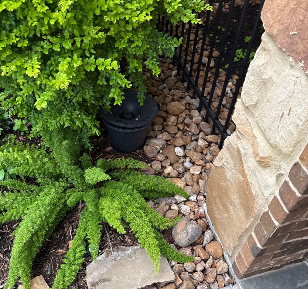 Mosquito in2care trap discretely tucked away into a rock bed behind shrubs and plants
