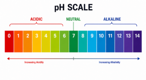 what is the best soil pH for grass